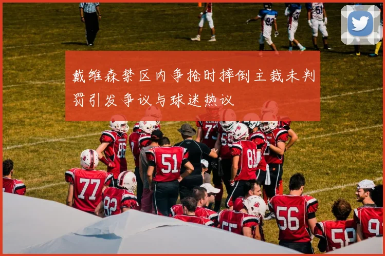 戴维森禁区内争抢时摔倒主裁未判罚引发争议与球迷热议